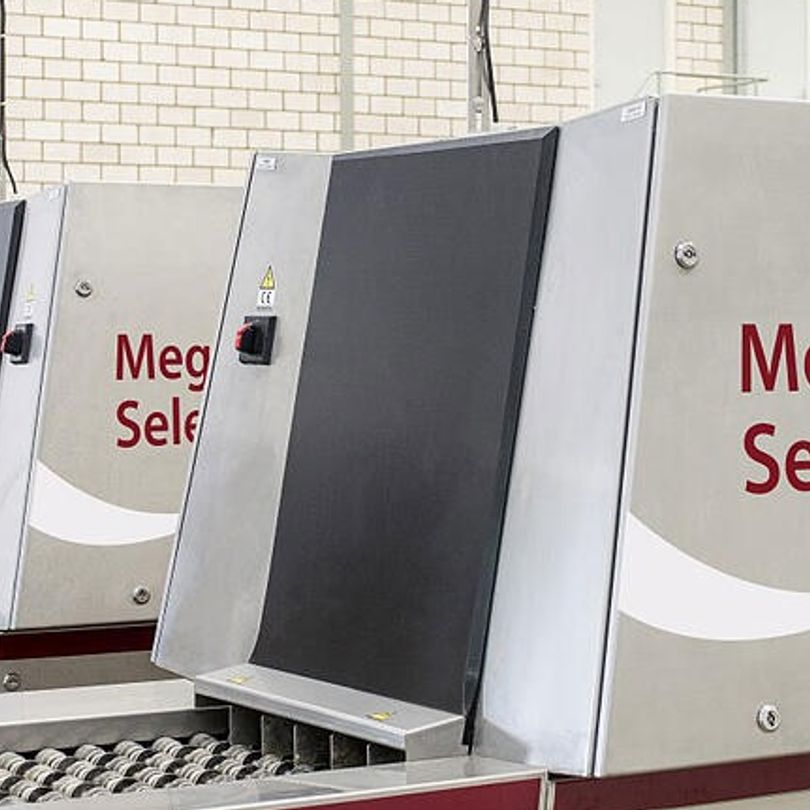 focal-case-AI-assisted egg inspection-Prinzen