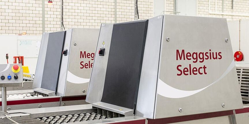 focal-case-AI-assisted egg inspection-Prinzen