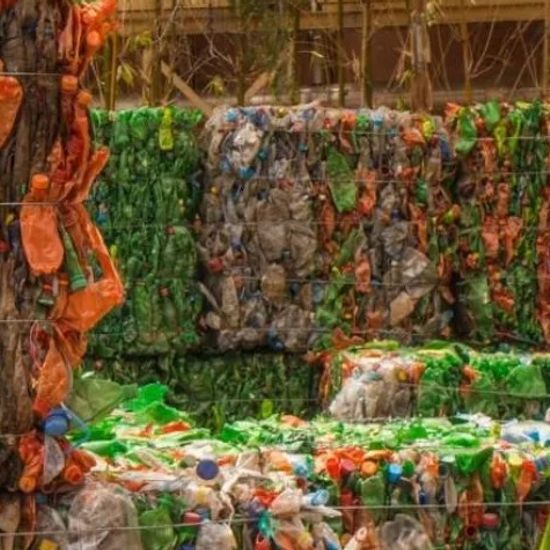 focal-demcon-showcase-in-line sorting system