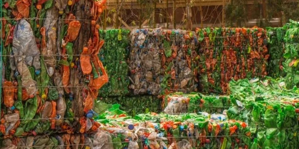 focal-demcon-showcase-in-line sorting system