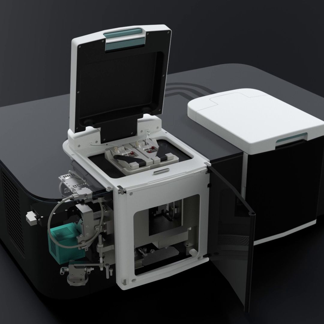 vlcsnap-2025-04-10-15h35m04s021