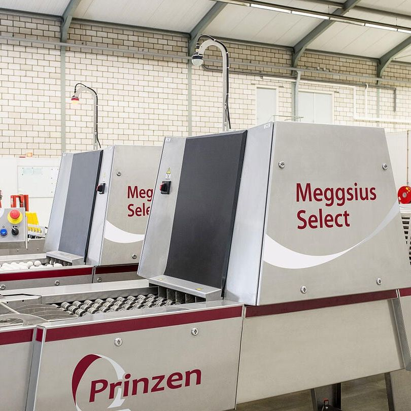 focal-case-AI-assisted egg inspection-Prinzen